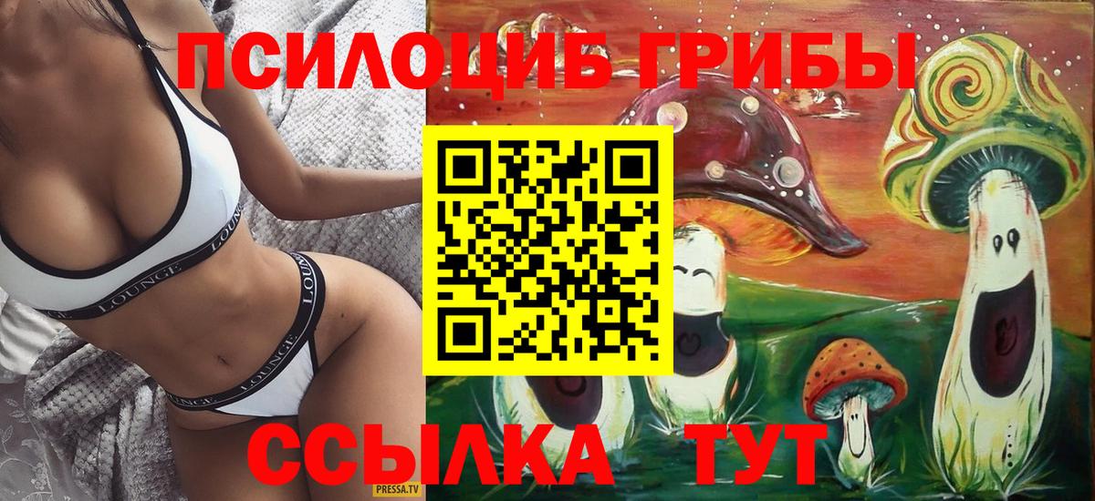 Псилоцибиновые грибы Cubensis Губкинский