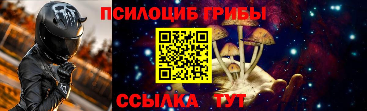 Губкинский  Псилоцибиновые грибы мицелий  Вход с VPN 
